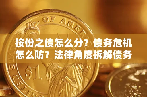 武汉按份之债怎么分？债务危机怎么防？法律角度拆解债务分配与风险自保指南