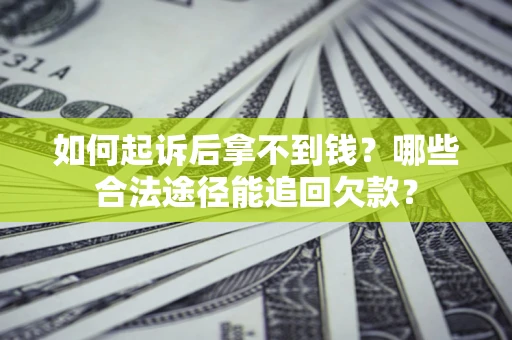 武汉如何起诉后拿不到钱？哪些合法途径能追回欠款？
