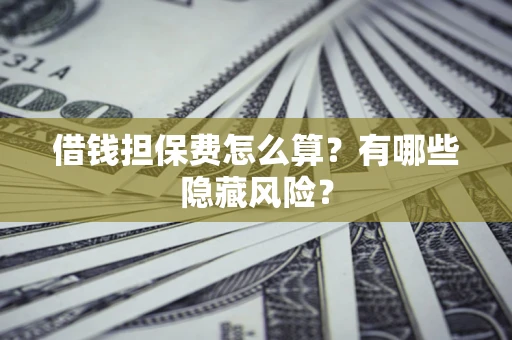 武汉借钱担保费怎么算？有哪些隐藏风险？