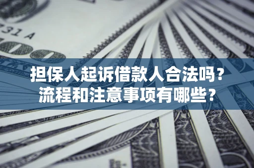 武汉担保人起诉借款人合法吗？流程和注意事项有哪些？