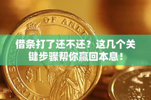 武汉借条打了还不还？这几个关键步骤帮你赢回本息！