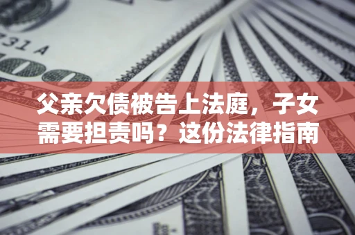 武汉父亲欠债被告上法庭，子女需要担责吗？这份法律指南必须看完