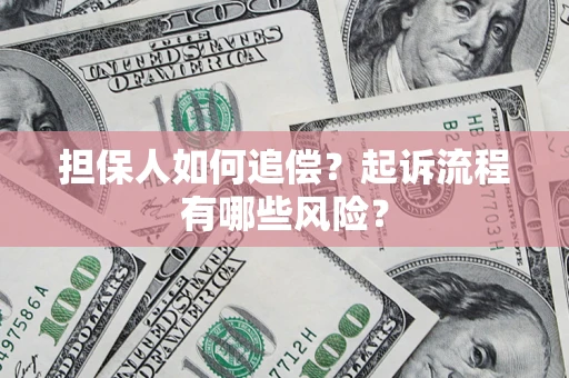 武汉担保人如何追偿？起诉流程有哪些风险？