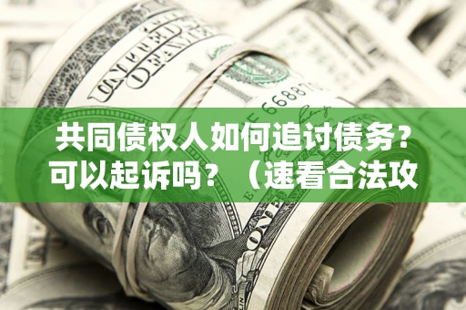 武汉共同债权人如何追讨债务？可以起诉吗？（速看合法攻略）