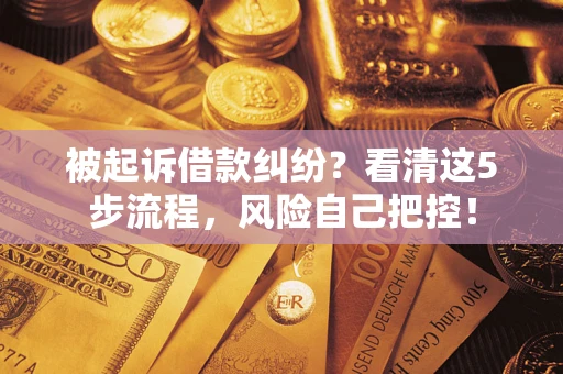 武汉被起诉借款纠纷？看清这5步流程，风险自己把控！