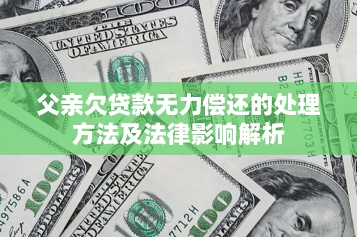 武汉父亲欠贷款无力偿还的处理方法及法律影响解析