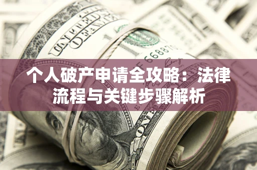 武汉个人破产申请全攻略：法律流程与关键步骤解析
