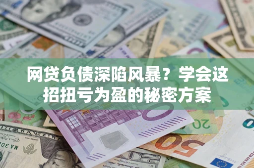 武汉网贷负债深陷风暴？学会这招扭亏为盈的秘密方案