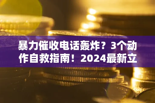 武汉暴力催收电话轰炸？3个动作自救指南！2024最新立案标准全解析